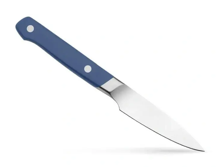 4-inch Paring Knife