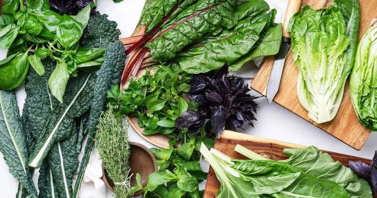 Bunches of fresh herbs and leafy greens.