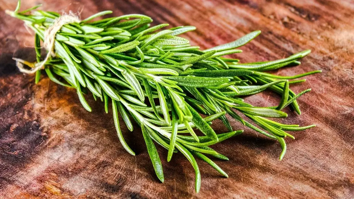 Rosemary sprigs.