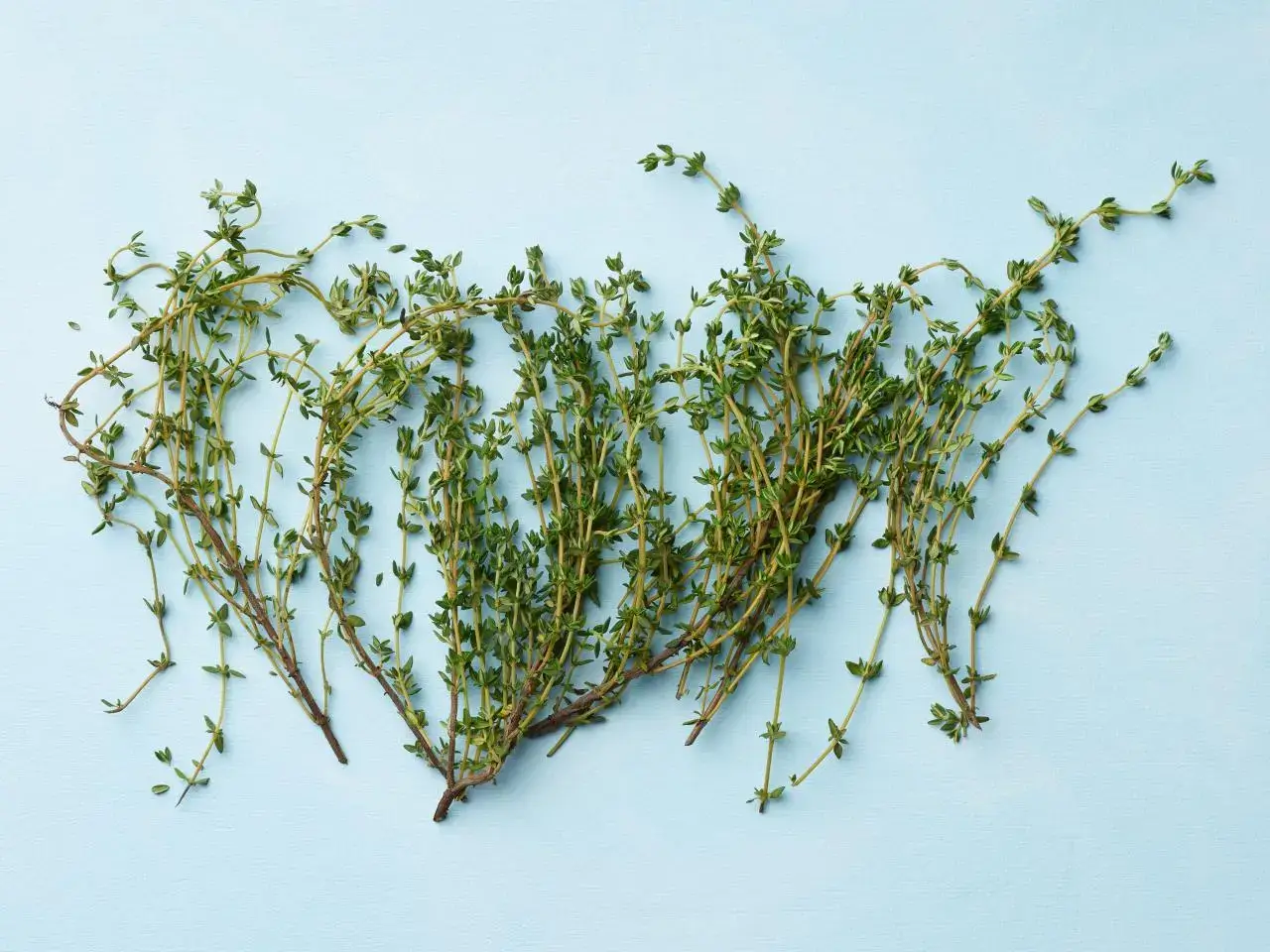 Thyme sprigs.