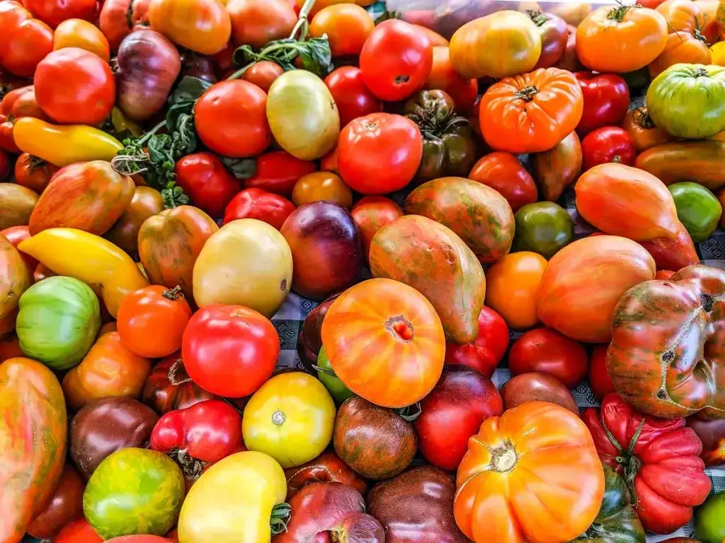 Colorful heirloom tomatoes at a market stall.